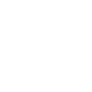 Show Theme Car Decal